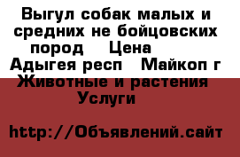 Выгул собак малых и средних не бойцовских пород. › Цена ­ 100 - Адыгея респ., Майкоп г. Животные и растения » Услуги   